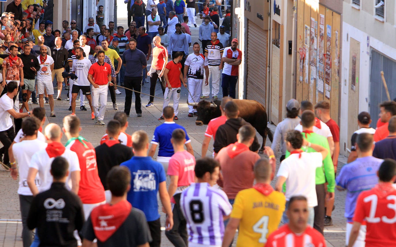 El cuarto encierro de Cuéllar, en imágenes (2 de 2)