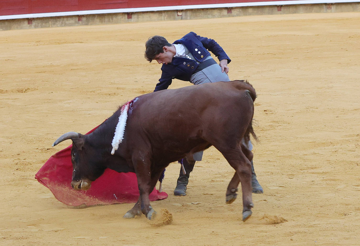 Tarde taurina de triunfos en el preámbulo de la feria