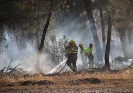 Efectivos de Medio Ambiente sofocan el incendio en el pinar.