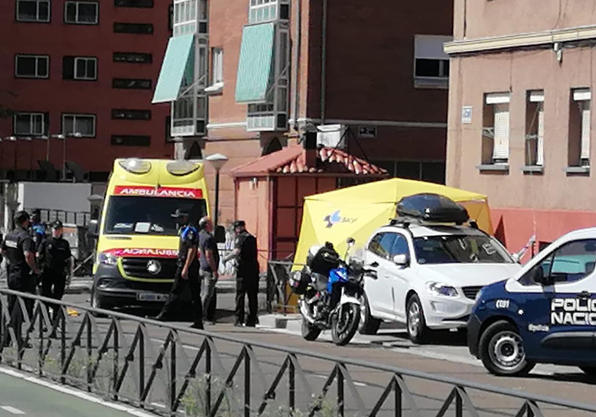 Agentes y sanitarios trabajan en el lugar de los hechos.