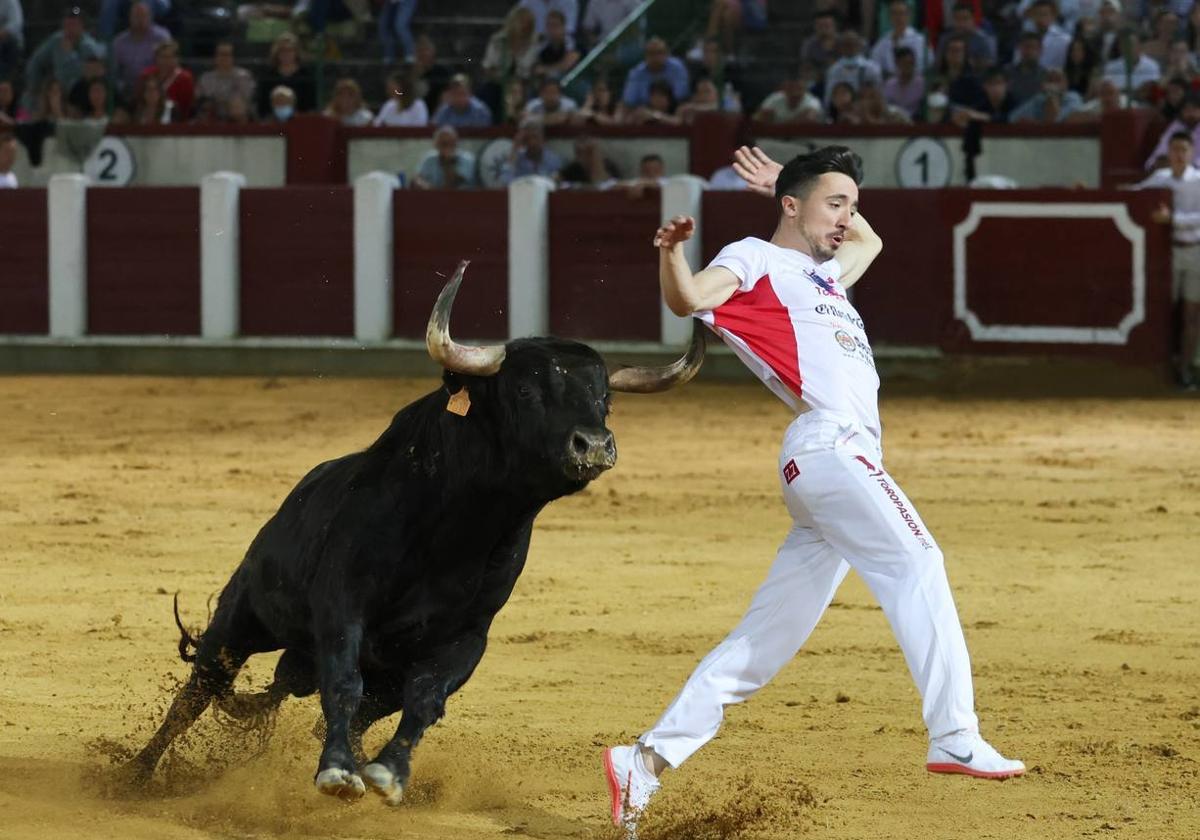 Concurso de cortes en la Plaza de Toros de Valladolid.