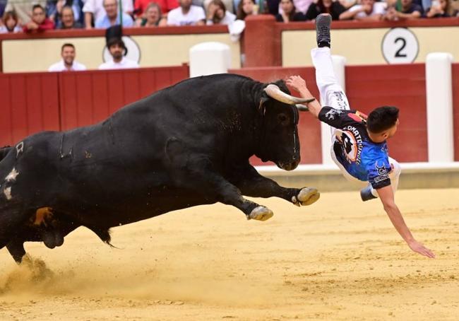 El novillo de la tercera ronda prende a Samuel Martín.