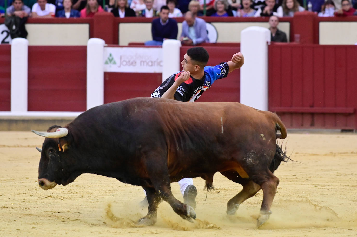 La final del Campeonato Mundial de Cortes, en imágenes (II)