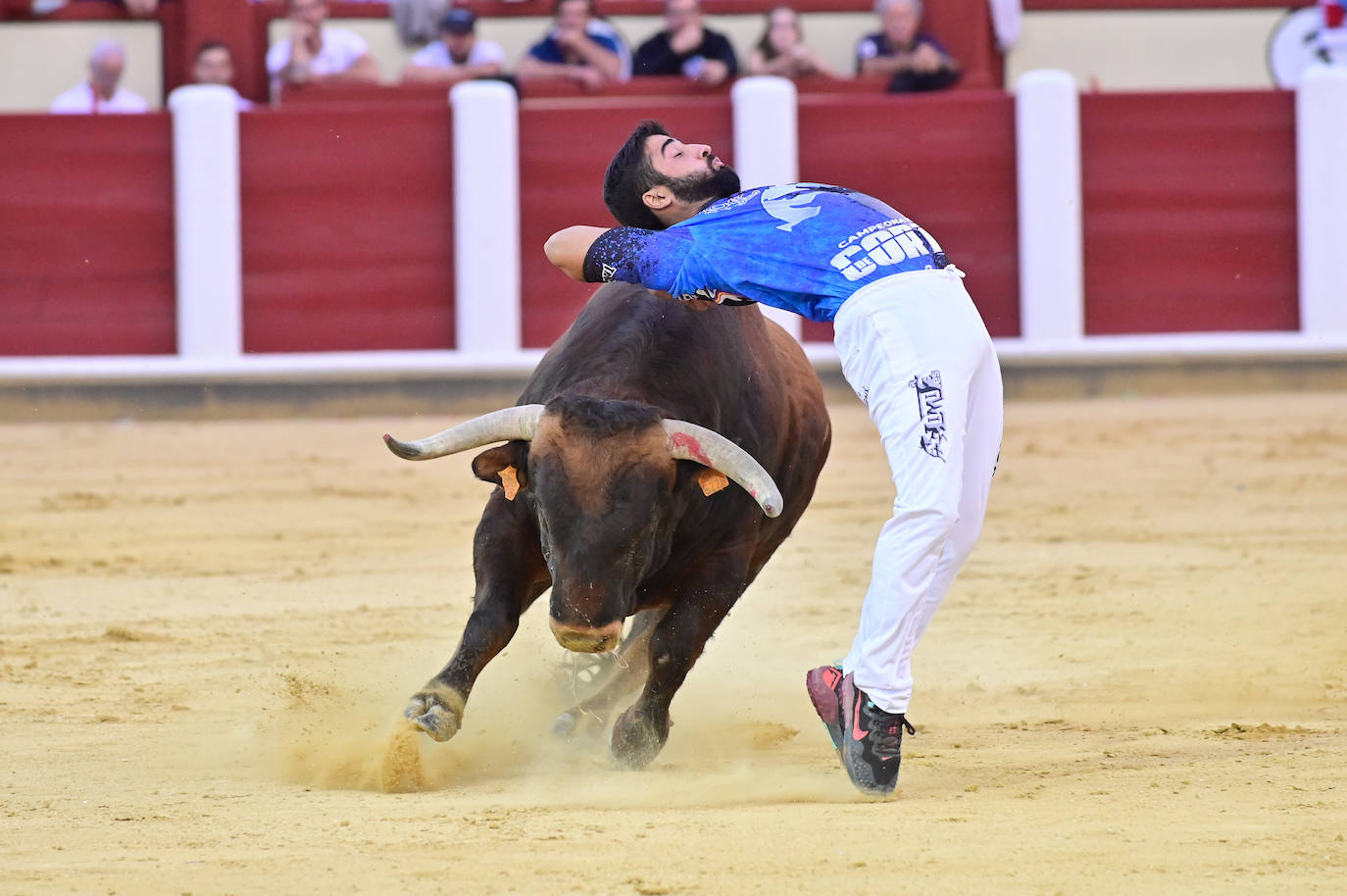 La final del Campeonato Mundial de Cortes, en imágenes (II)