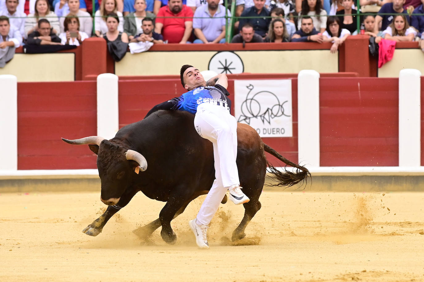 La final del Campeonato Mundial de Cortes, en imágenes (II)