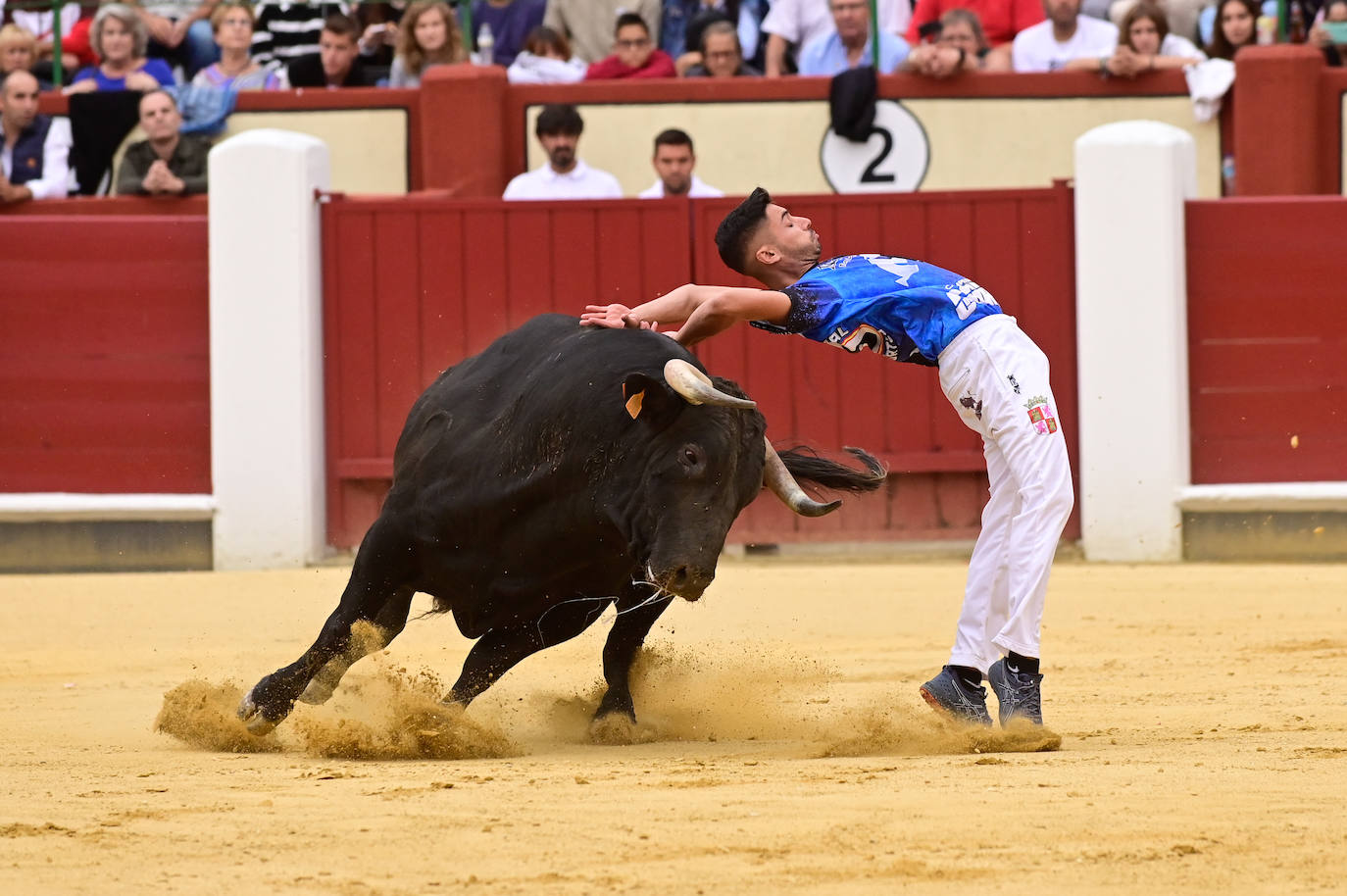 La final del Campeonato Mundial de Cortes, en imágenes (III)