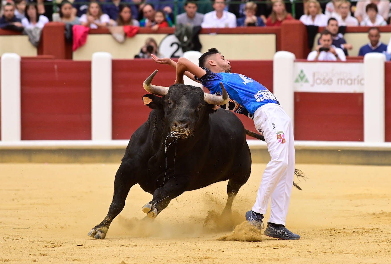 La final del Campeonato Mundial de Cortes, en imágenes (III)