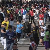 Las reses de Araúz de Robles se alzan con el trofeo al mejor encierro de Cuéllar