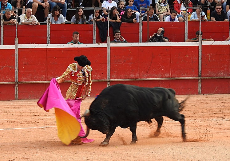 Imagen principal - Los espectáculos taurinos y la música inundan las calles durante los festejos en honor a la Virgen del Manto y de Hontanares. 