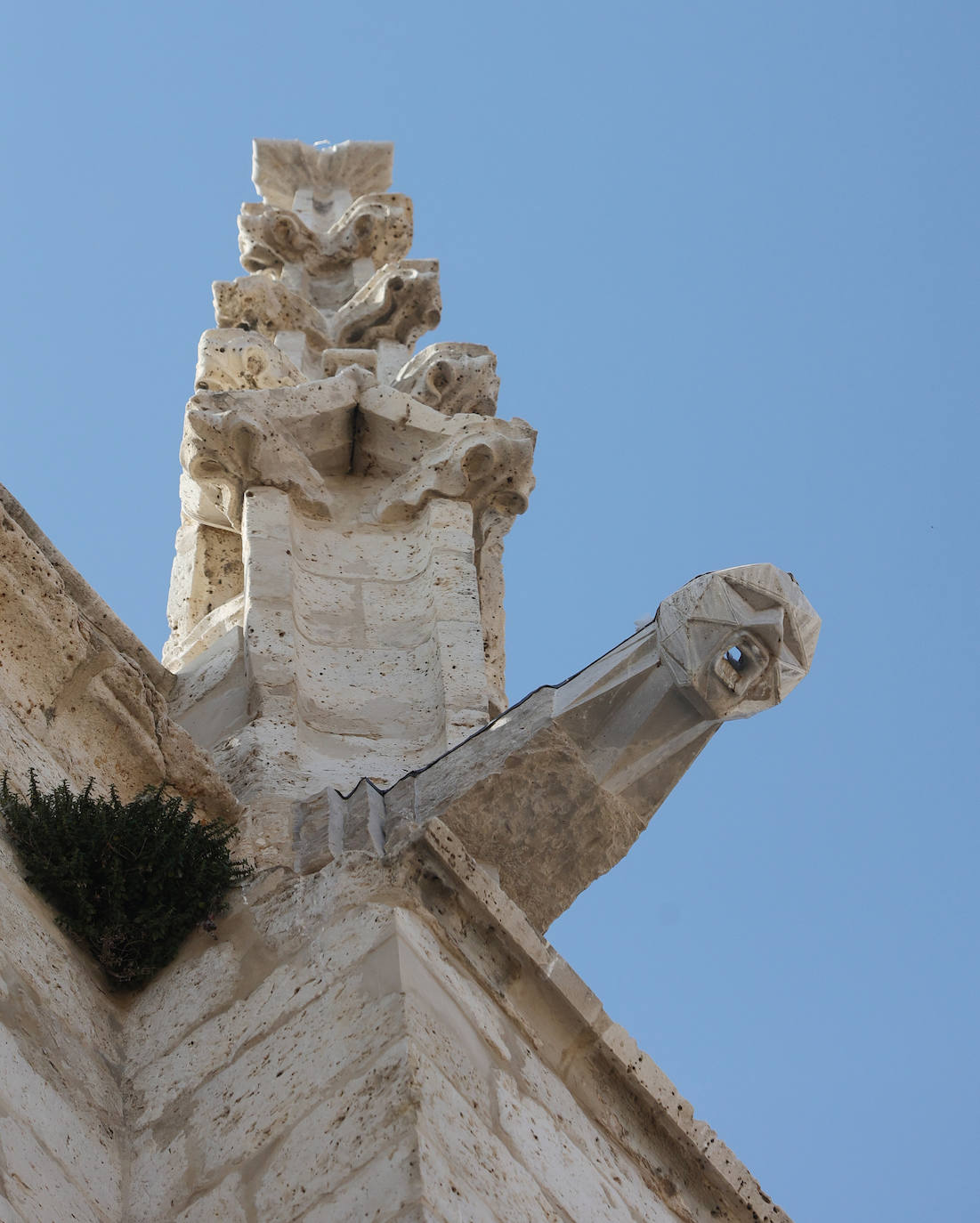 Las obras de restauración de la Catedral de Palencia la embellecen