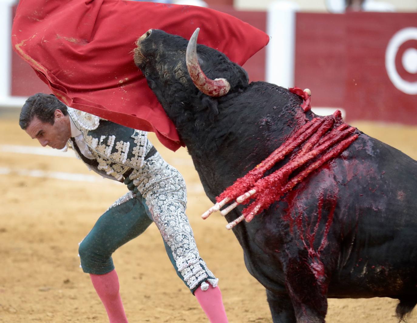Así ha sido la lidia de los toros de Núñez del Cuvillo