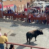 Un Toro de la Vega «atípico» deja fríos a los vecinos de Tordesillas