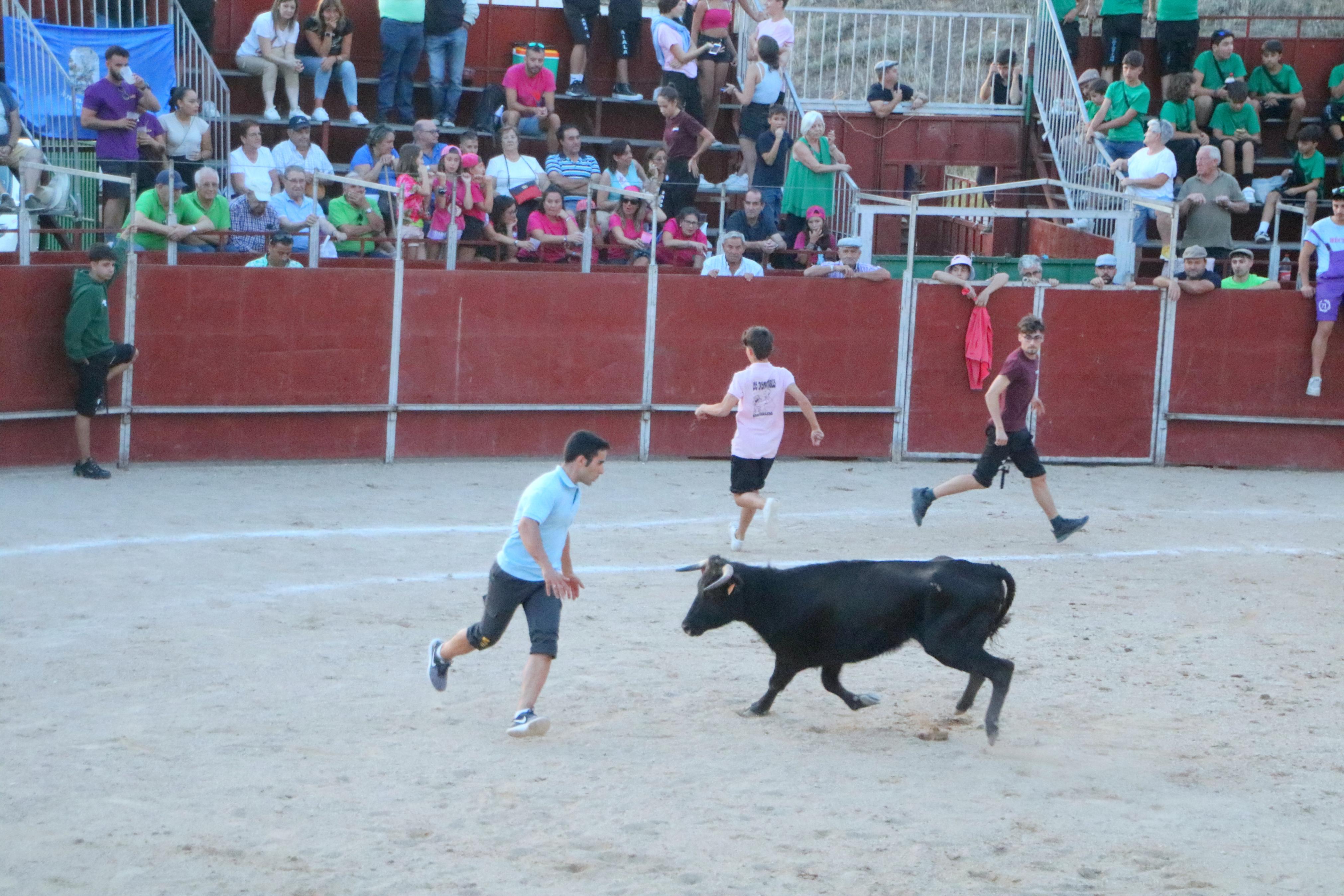 III Certamen Taurino &#039;Bodegas de Baltanás&#039;