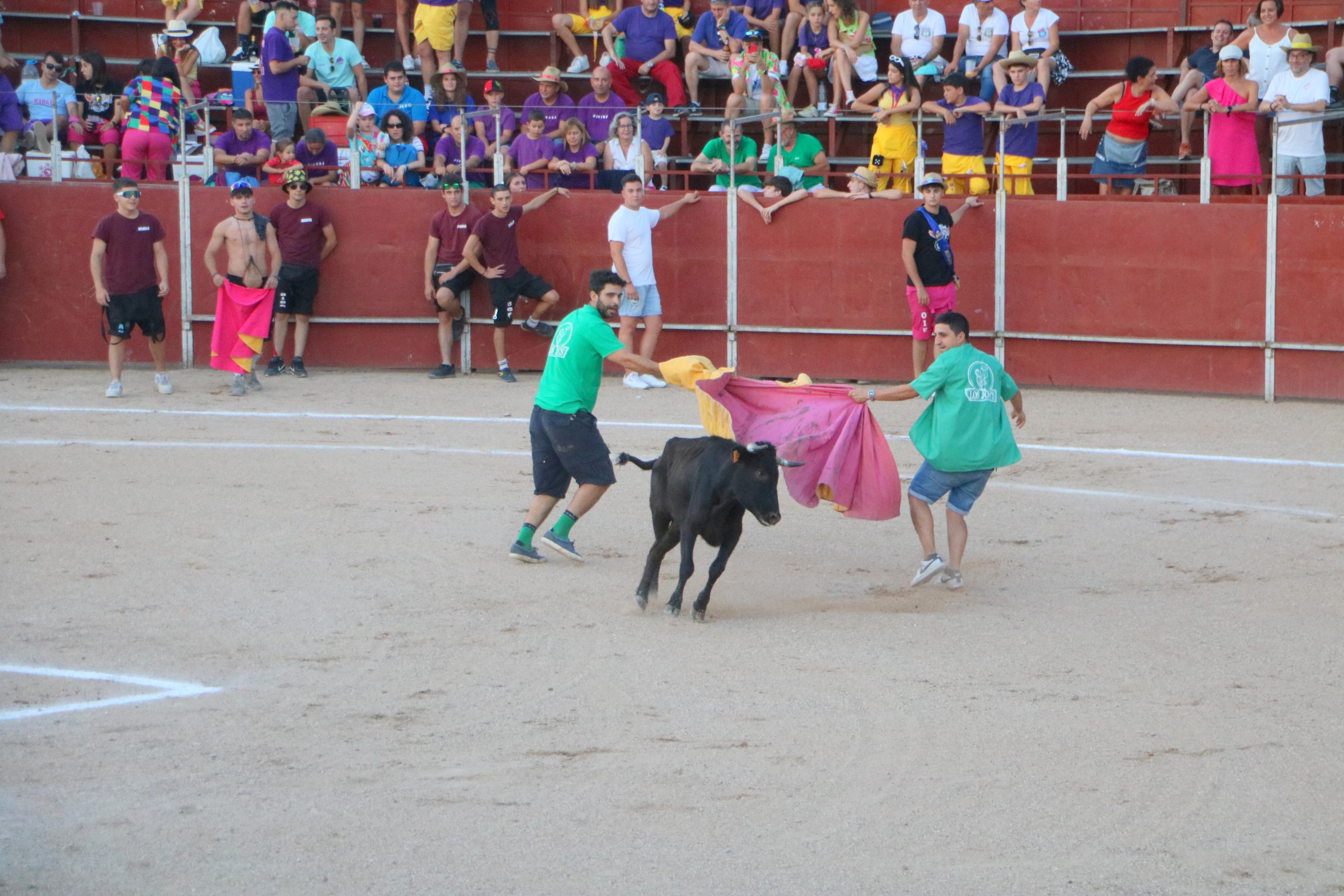 III Certamen Taurino &#039;Bodegas de Baltanás&#039;