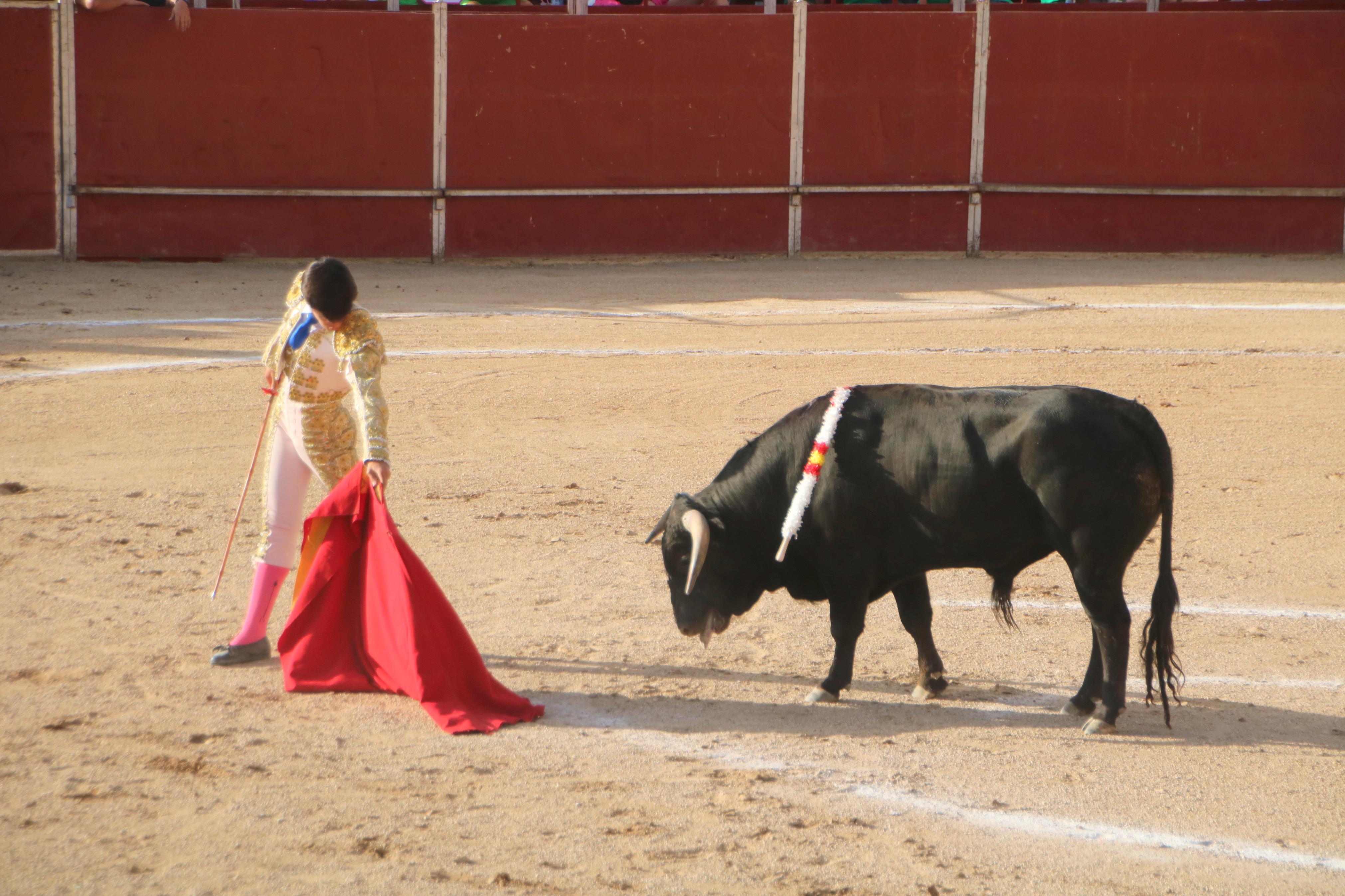 III Certamen Taurino &#039;Bodegas de Baltanás&#039;