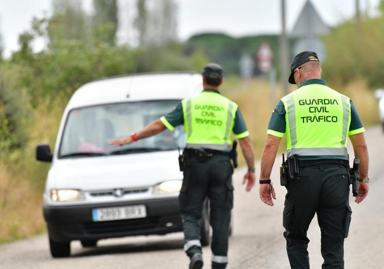 Controles de tráfico en Laguna de Duero en el dispositivo para intentar capturar a los toros escapados.