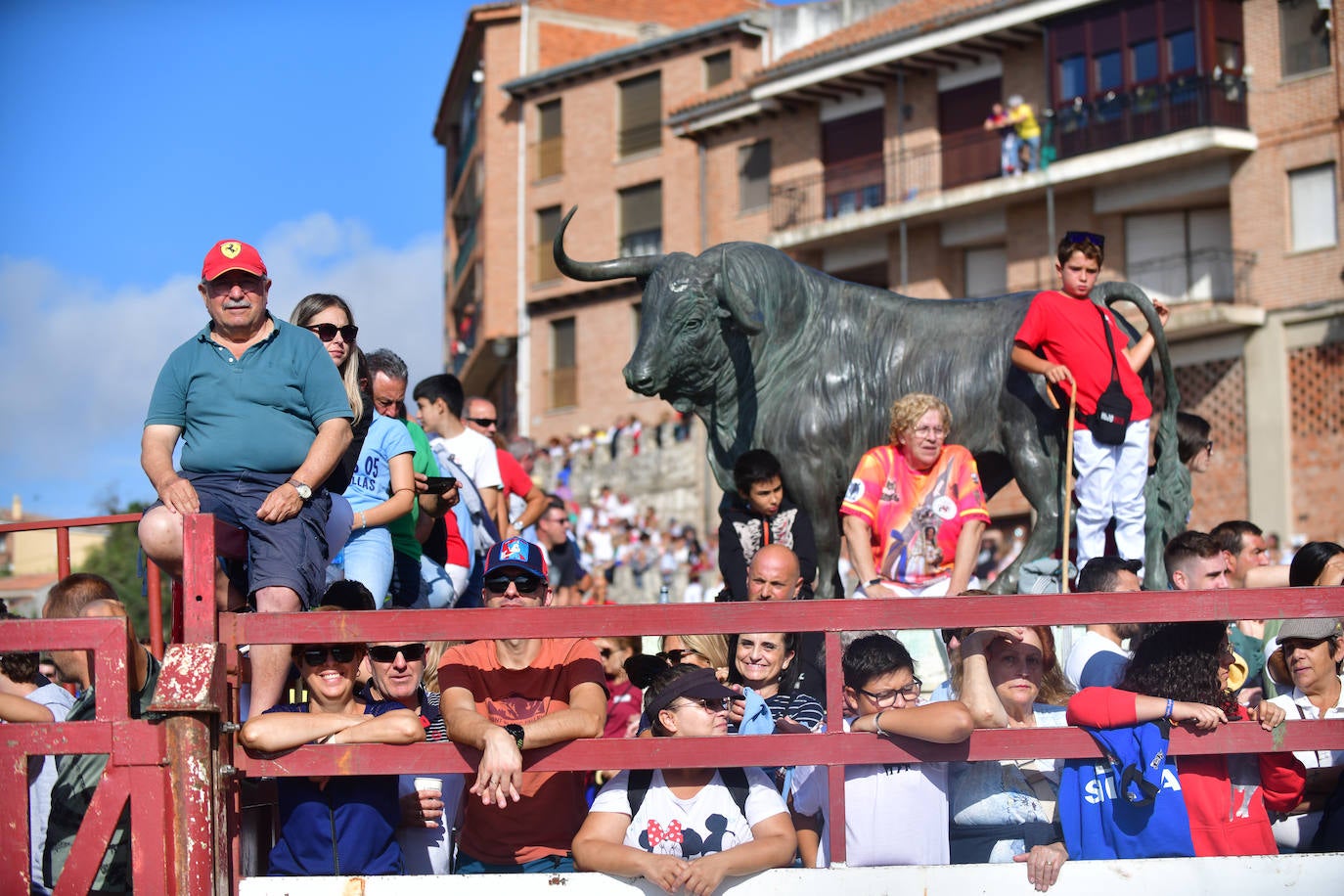 El Toro de la Vega siembra el pánico en Tordesillas