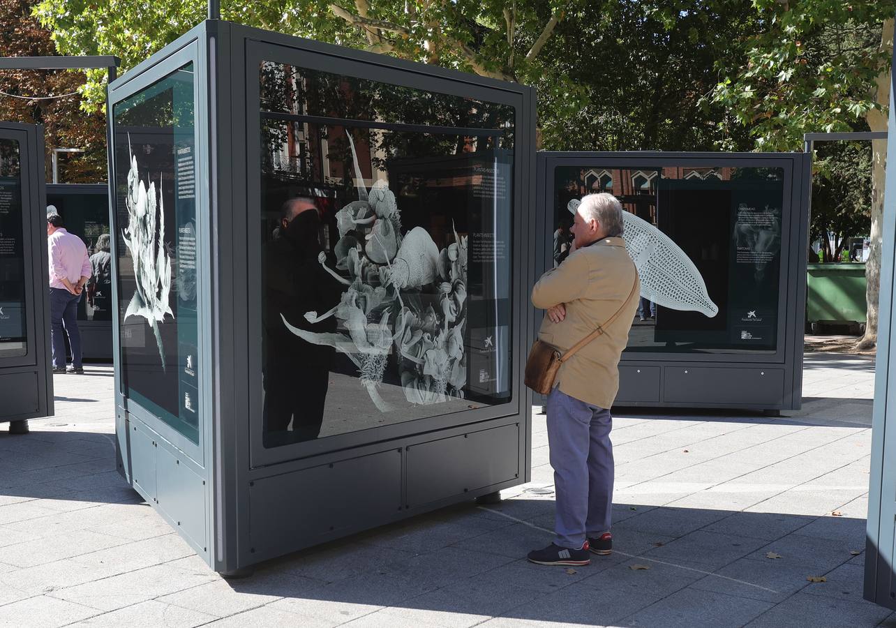 La exposición &#039;Nanocosmos&#039; llega al parque del Salón de Palencia