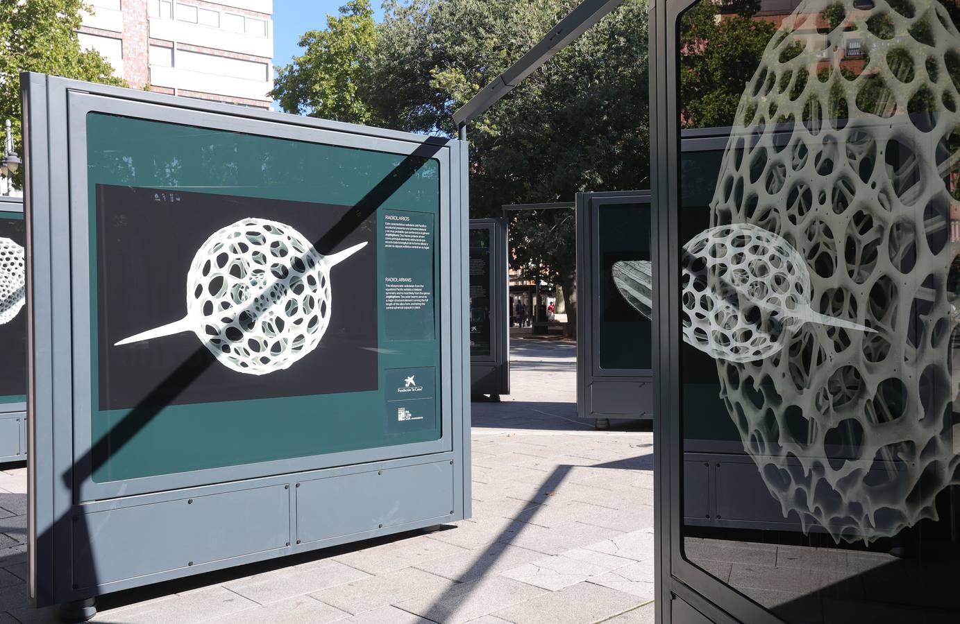 La exposición &#039;Nanocosmos&#039; llega al parque del Salón de Palencia