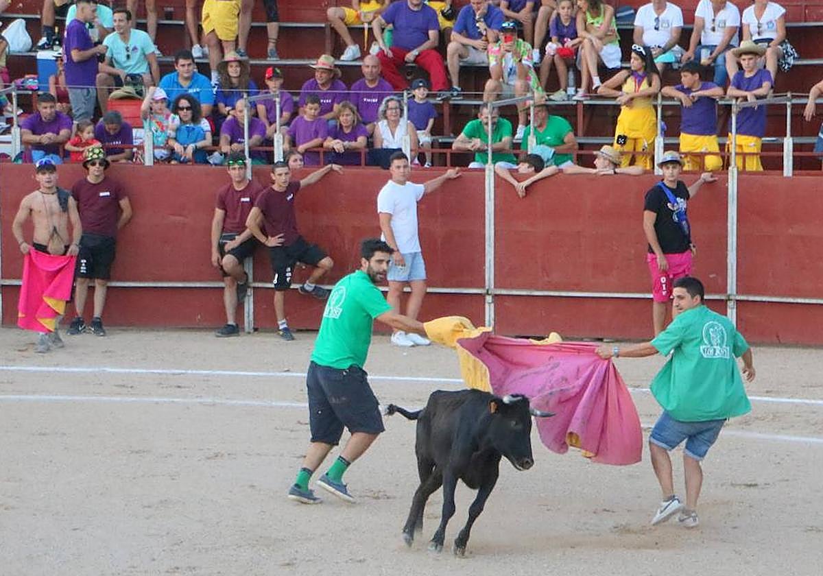 Festejo taurino en Baltanás.