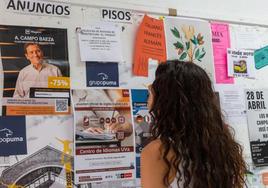 Una estudiante mira anuncios de pisos en el panel de la Escuela Técnica Superior de Arquitectura.