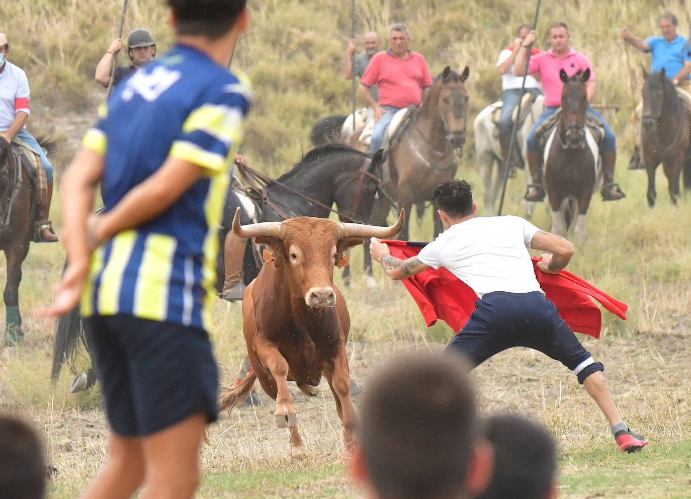 Las mejores imágenes del encierro de Arrabal de Portillo