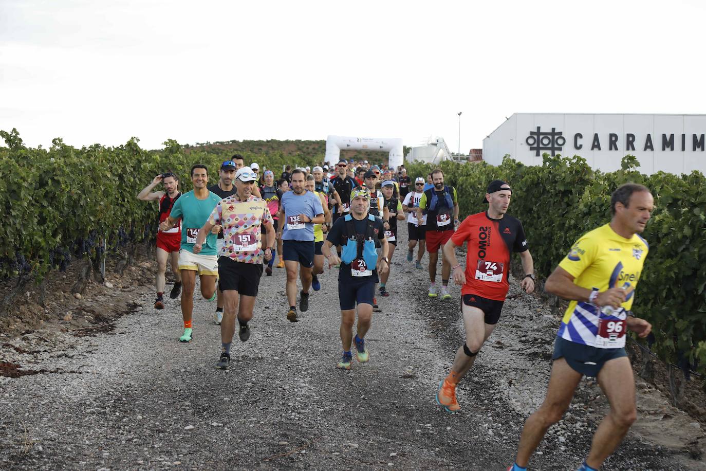 La quinta Ribera Run Experience de Peñafiel, en imágenes (1/2)