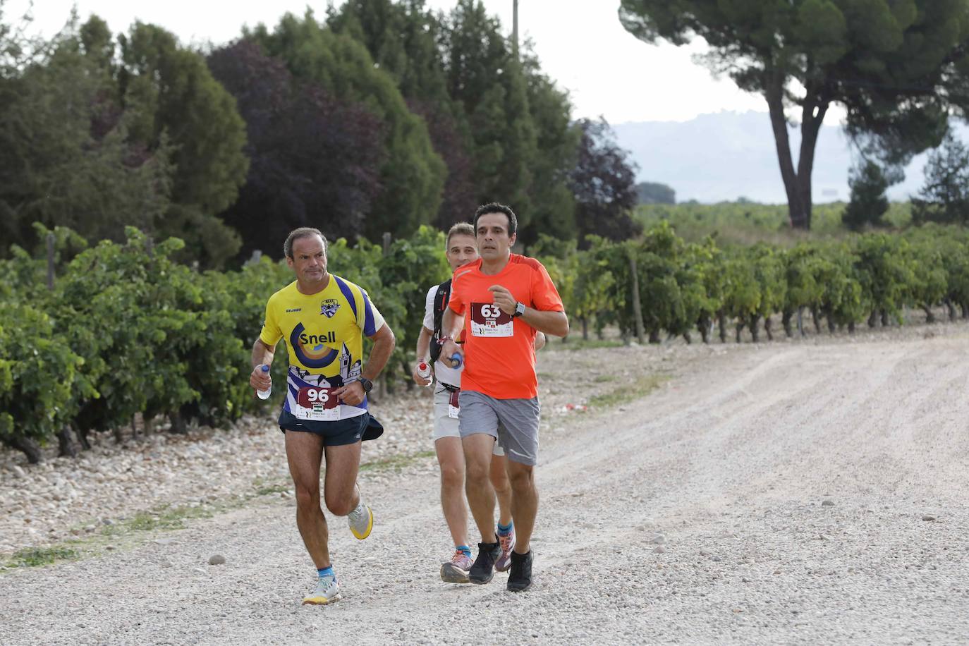 La quinta Ribera Run Experience de Peñafiel, en imágenes (2/2)