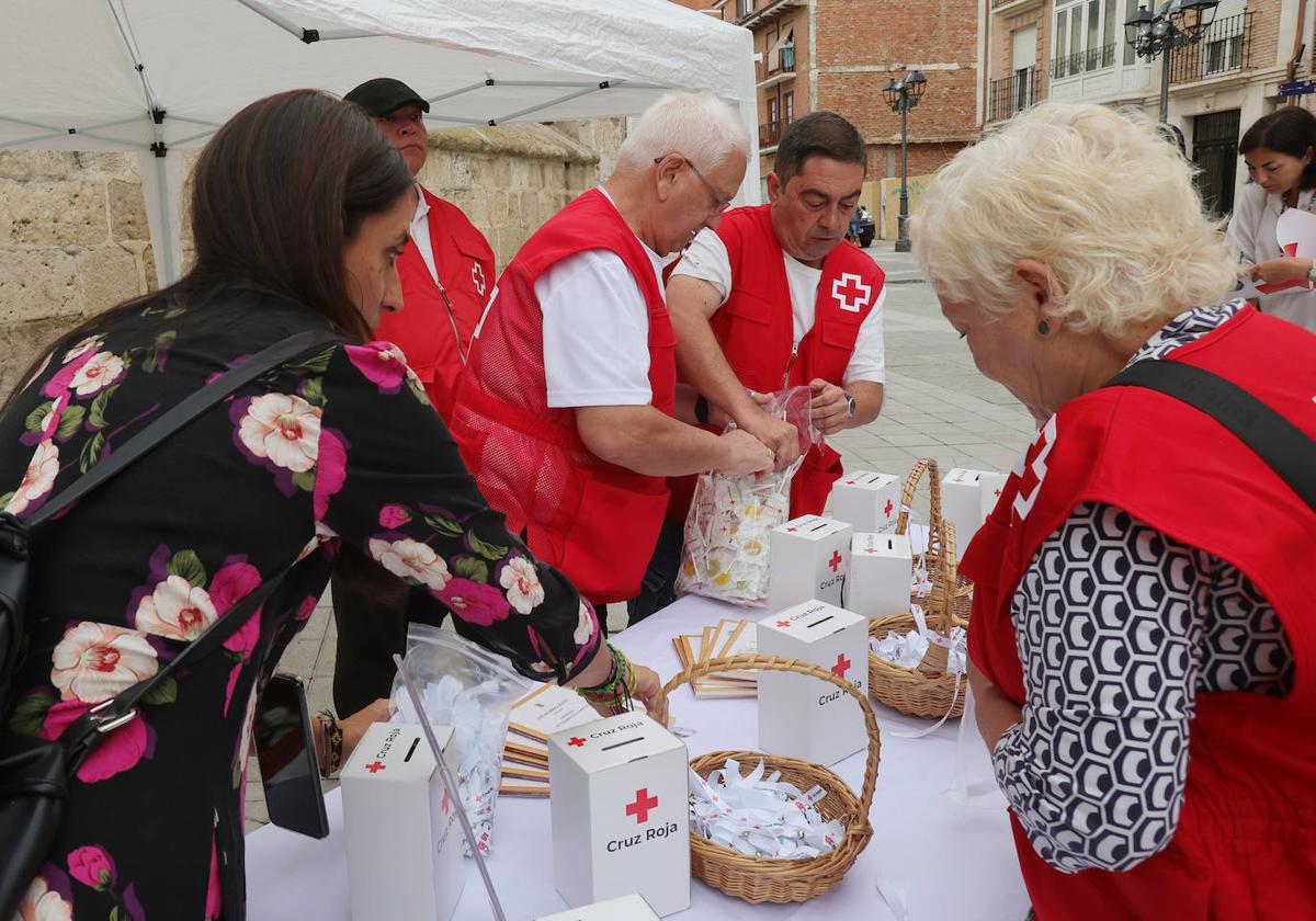 Día de la Banderita de Cruz Roja.