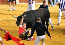 Miguelín, agarrado al cuerno del toro para no ser corneado.