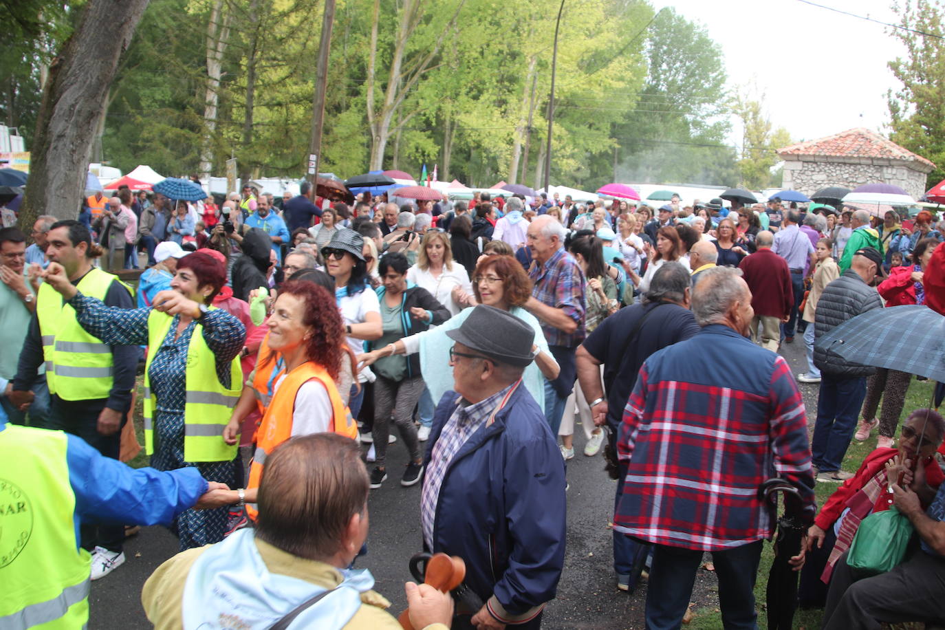 Romería de la Virgen del Henar pasada por agua