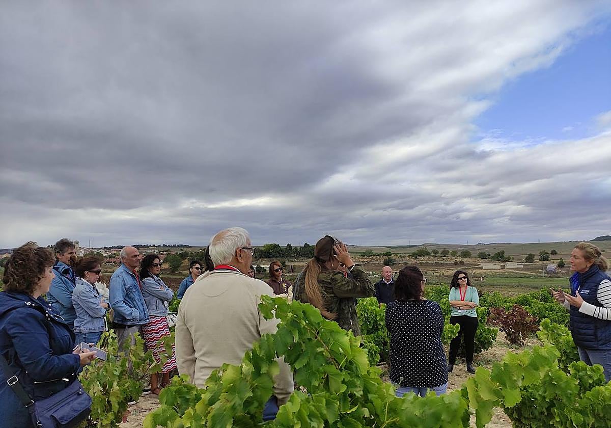 Participantes en el Vendimiario 2023.