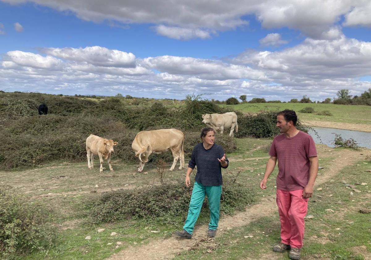 Los dos hermanos, veterinaria y ganadero, conversan en una de las fincas comunales de Martiago.