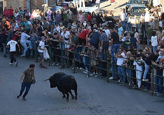El Toro del Clarete, en un momento del recorrido.