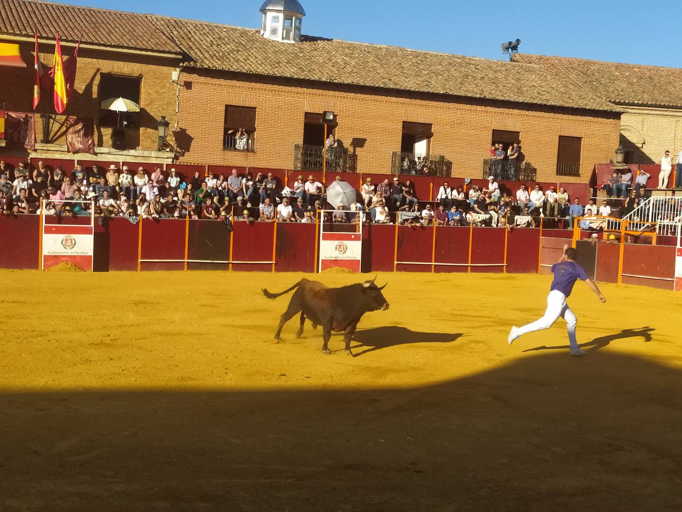 El Concurso de Cortes de Mayorga, en imágenes (III)