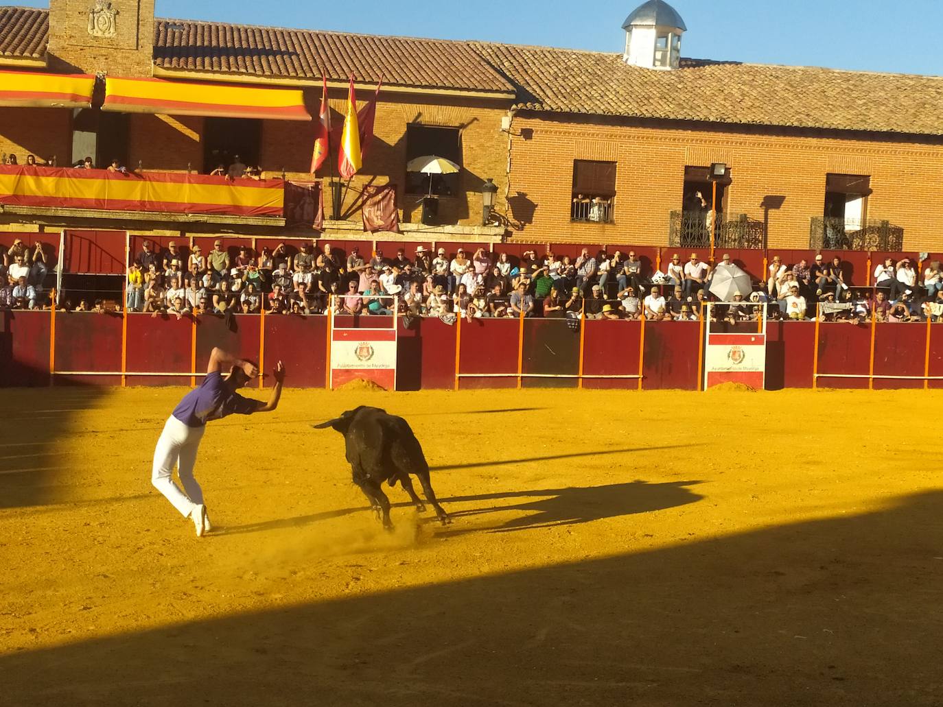 El Concurso de Cortes de Mayorga, en imágenes (III)