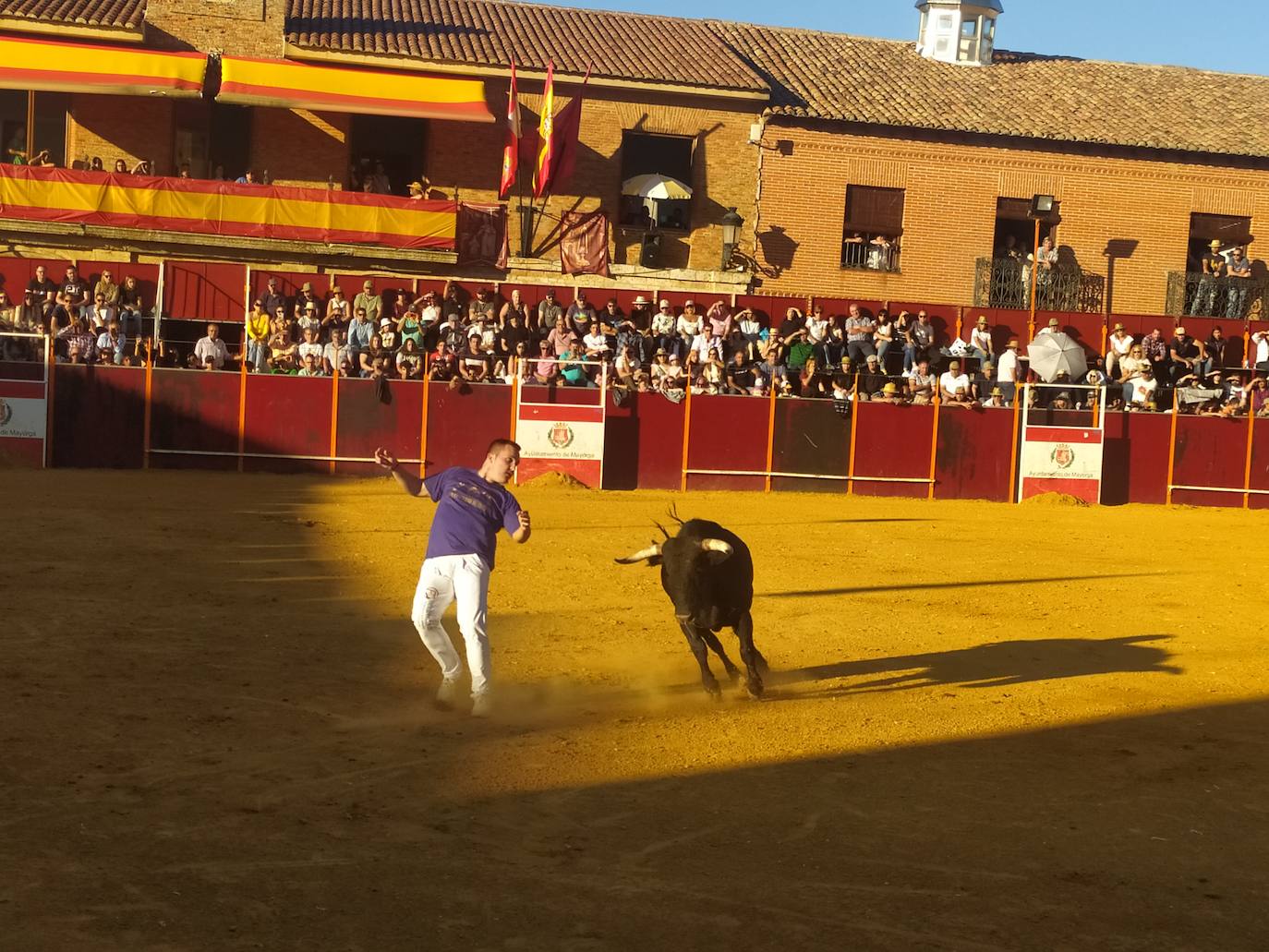 El Concurso de Cortes de Mayorga, en imágenes (III)