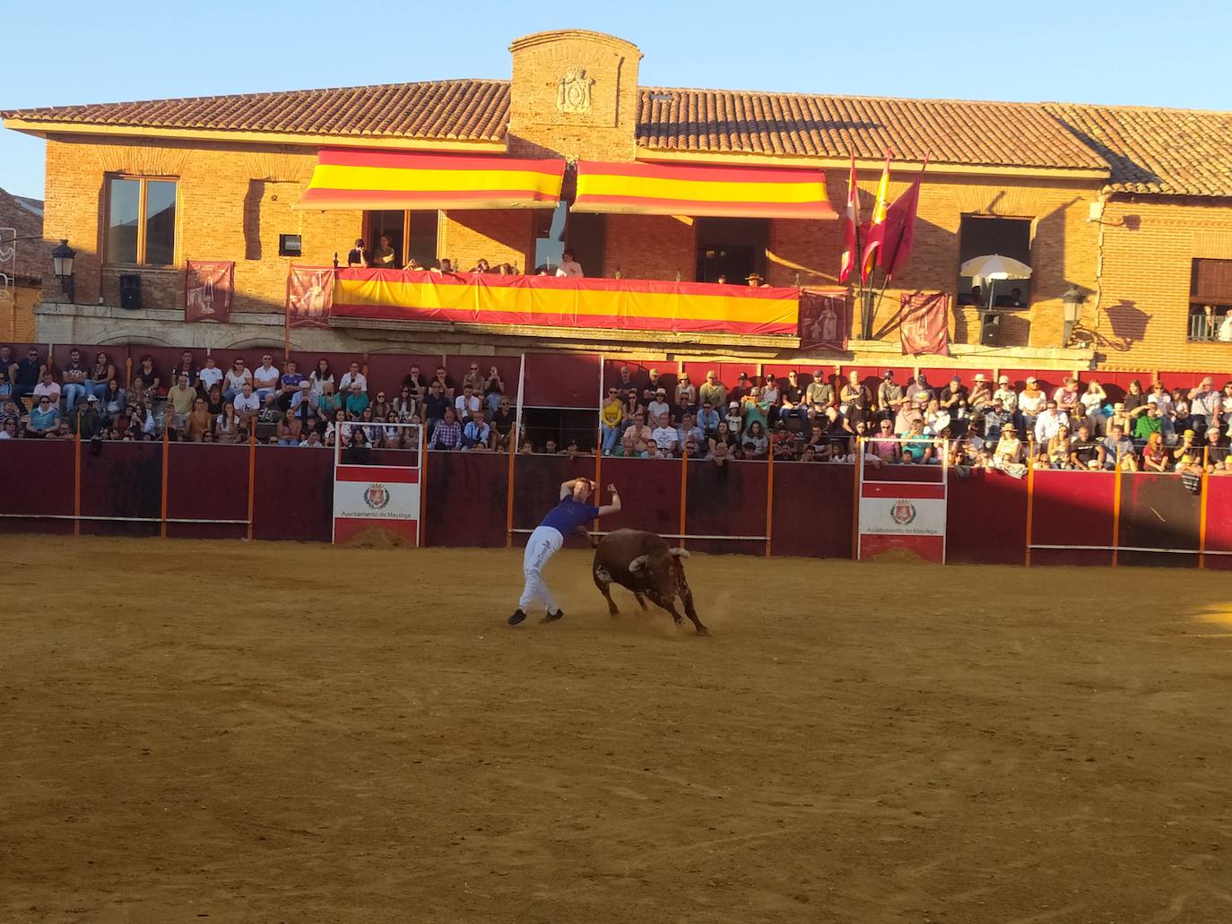 El Concurso de Cortes de Mayorga, en imágenes (III)