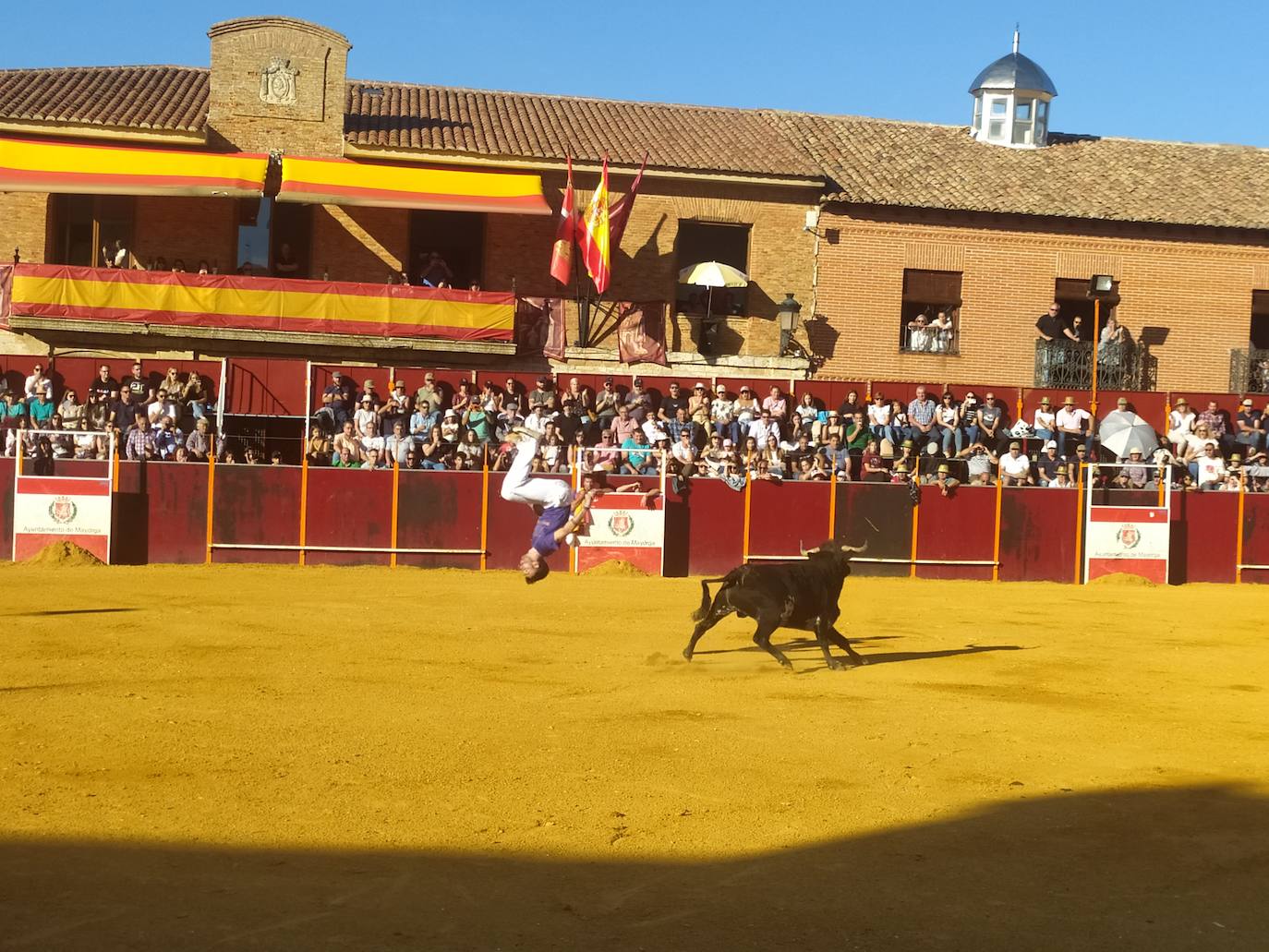 El Concurso de Cortes de Mayorga, en imágenes (I)