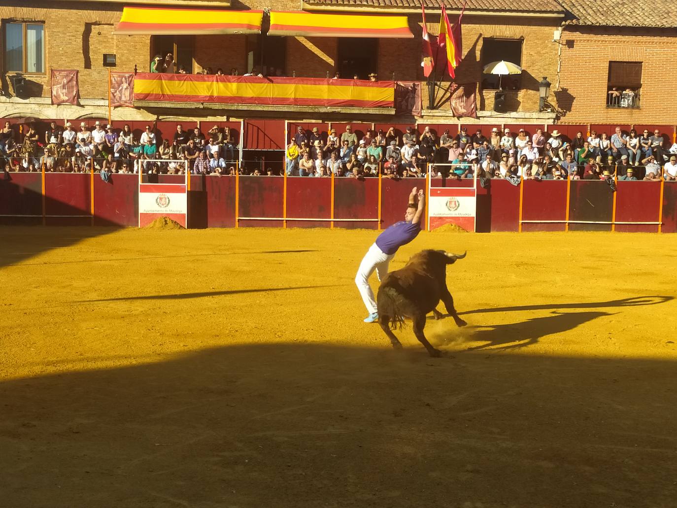 El Concurso de Cortes de Mayorga, en imágenes (I)