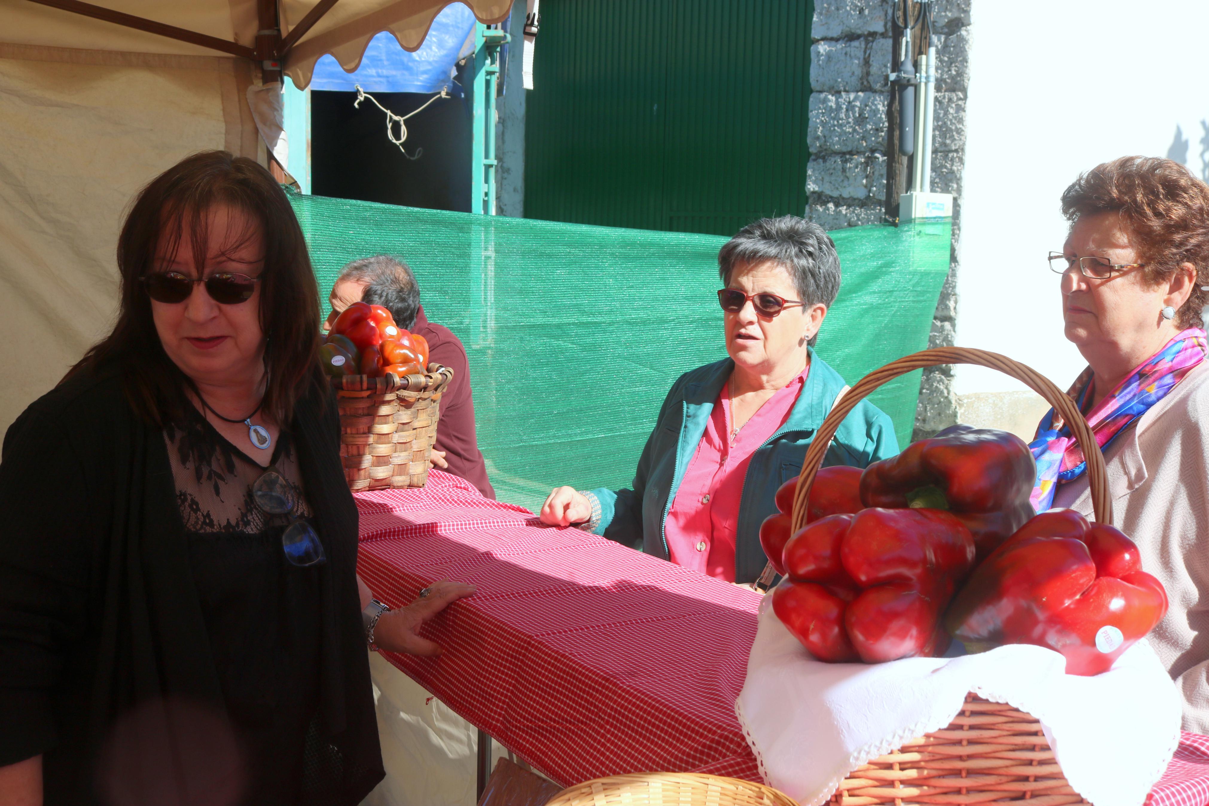 XXIX Feria del Pimiento de Torquemada