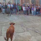 Dos vacas enmaromadas ponen fin a las fiestas de Palazuelo de Vedija