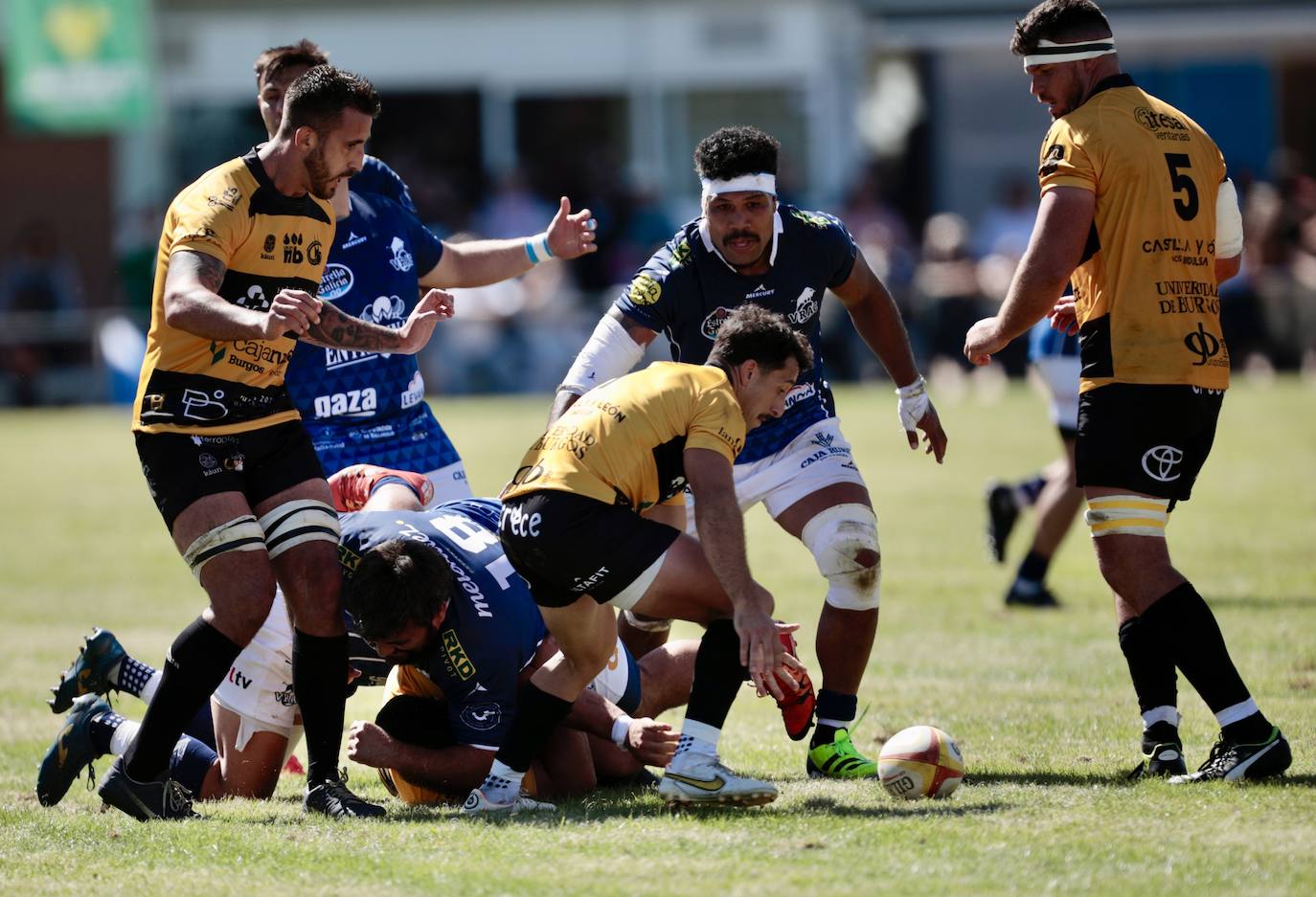 La final de la Supercopa de Rugby, en imágenes