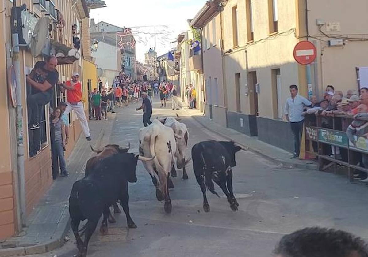 Mayorganos y visitantes disfrutan del encierro por las calles del pueblo.