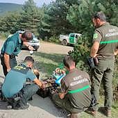 ¿Dónde van a parar los boletus decomisados?