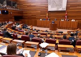 El pleno de las Cortes de Castilla y León, en imágenes