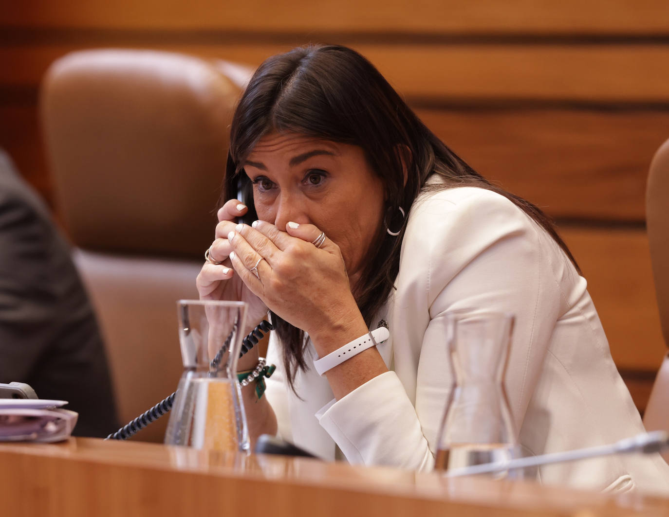 El pleno de las Cortes de Castilla y León, en imágenes