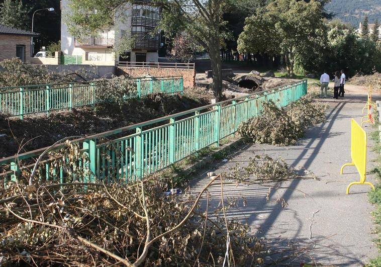 Restos de vegetación en las márgenes del arroyo del Boquerón, en El Espinar.