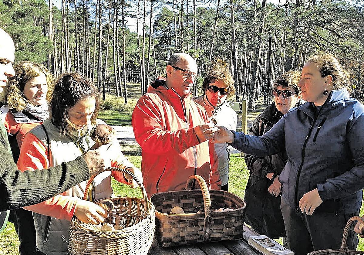 Buscasetas con un guía en el campo soriano.