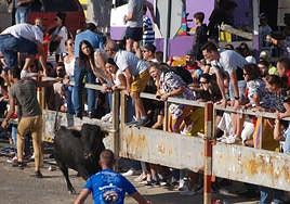 Encierro del 27 de septiembre en Olmedo, con algunos menores entre el público.